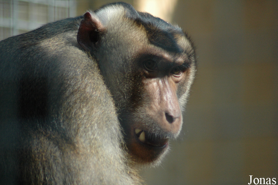 Parc Zoologique du Bois d'Attilly