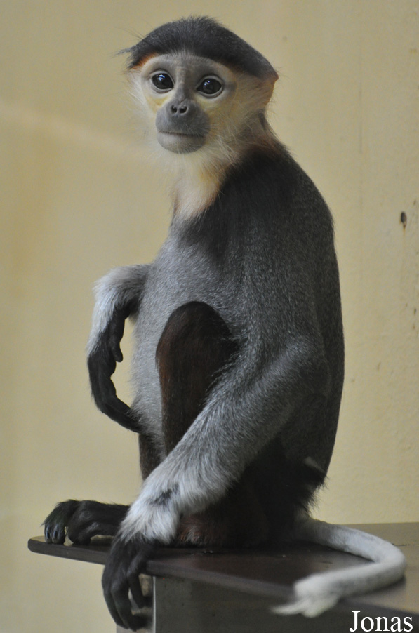 Kölner Zoo