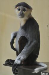 Kölner Zoo