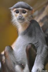 Kölner Zoo