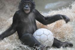 Kölner Zoo