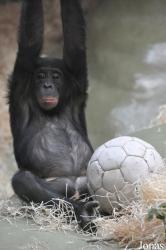 Kölner Zoo