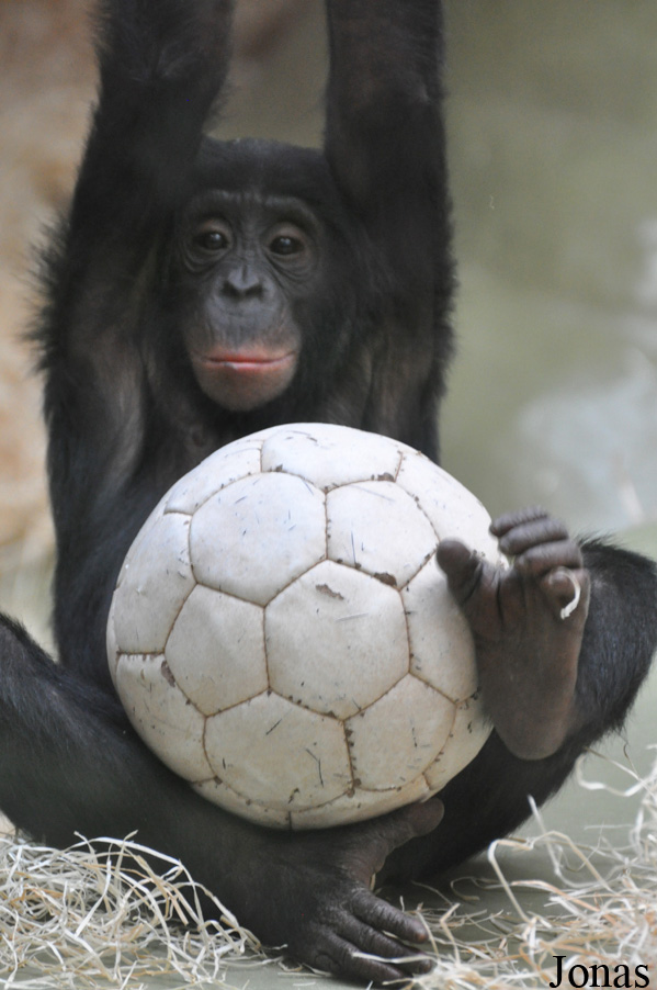 Kölner Zoo