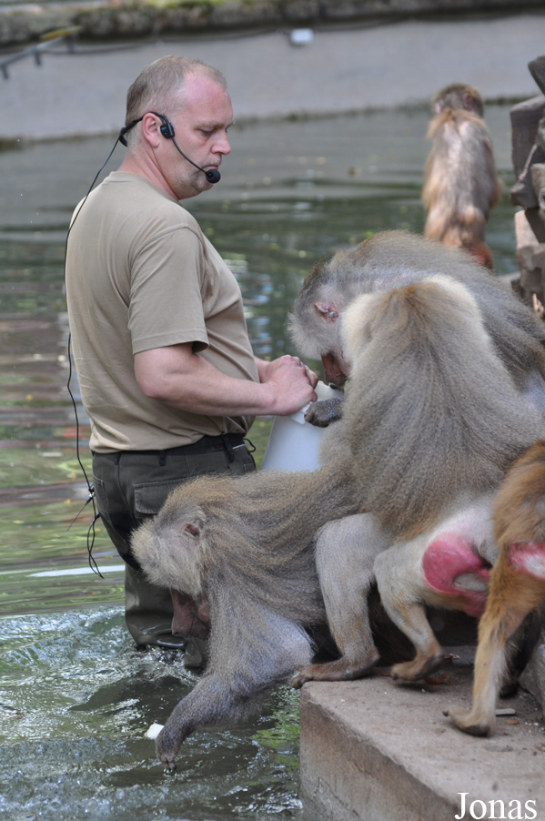 Kölner Zoo