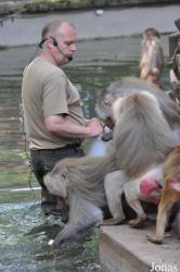 Kölner Zoo
