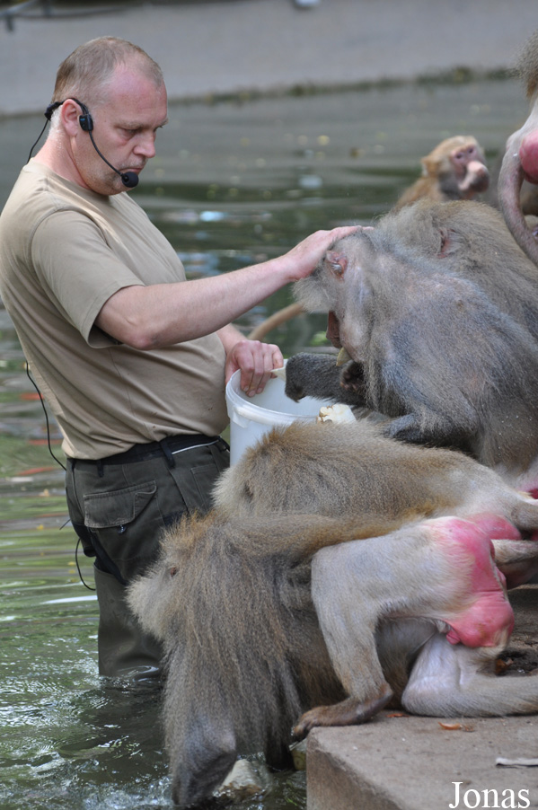 Kölner Zoo