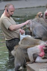 Kölner Zoo
