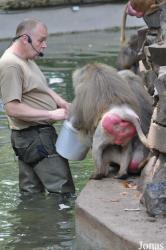 Kölner Zoo