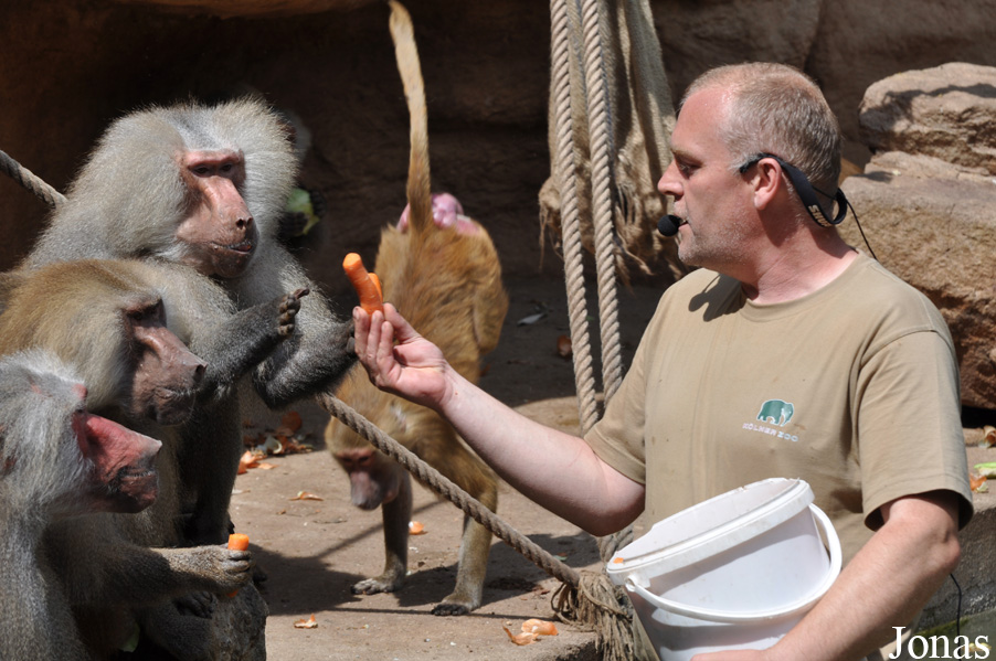 Kölner Zoo