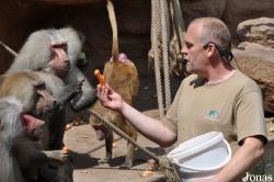 Kölner Zoo