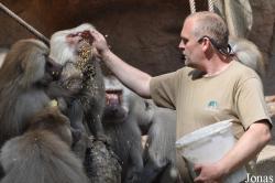 Kölner Zoo