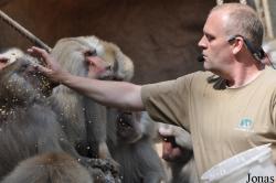 Kölner Zoo