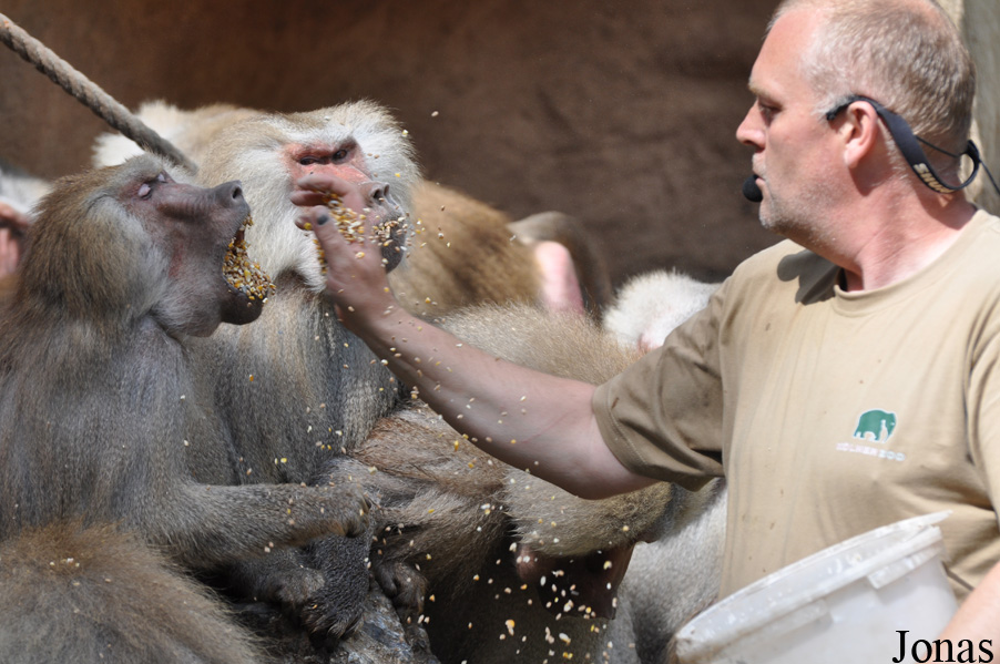 Kölner Zoo
