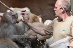 Kölner Zoo