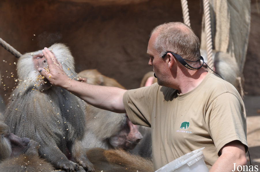 Kölner Zoo