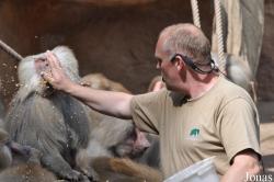 Kölner Zoo