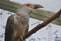 Kölner Zoo