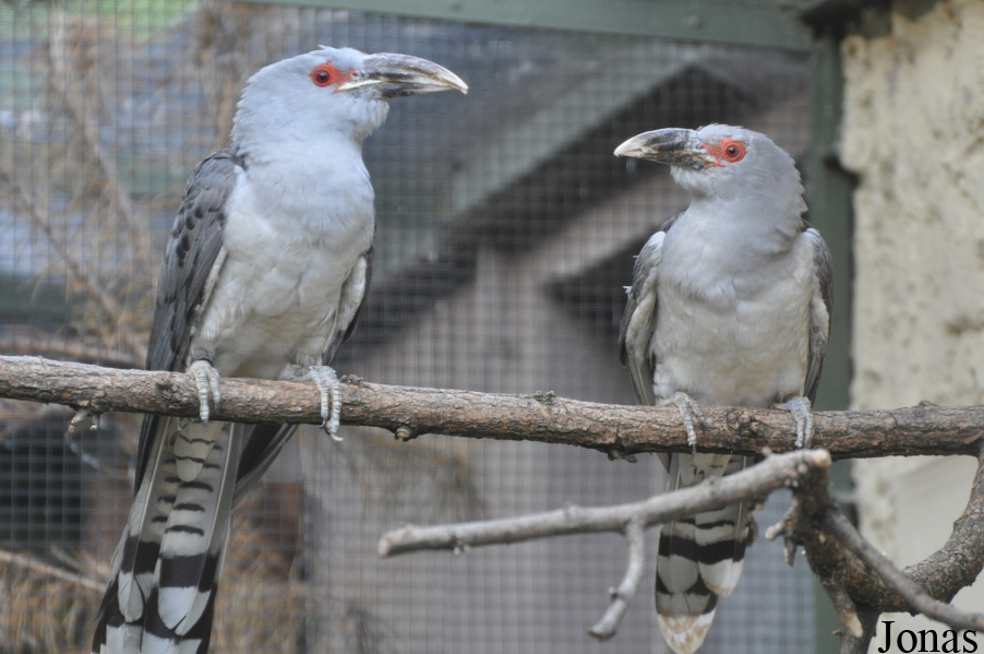 Kölner Zoo