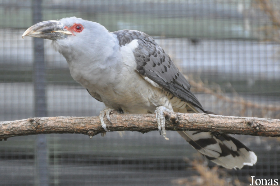 Kölner Zoo