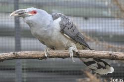 Kölner Zoo