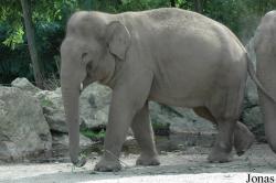 Zoo de Pont-Scorff