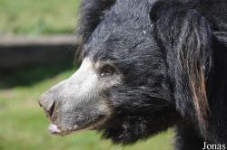 Safaripark Beekse Bergen