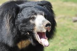 Safaripark Beekse Bergen