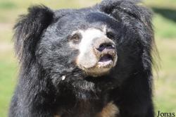 Safaripark Beekse Bergen