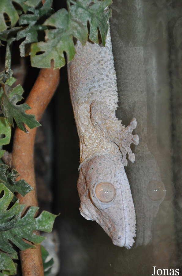 Dierenpark De Oliemeulen