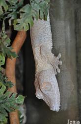 Dierenpark De Oliemeulen