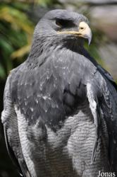 Dierenpark De Oliemeulen