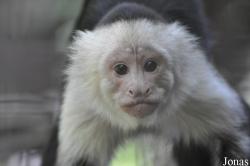 Dierenpark De Oliemeulen
