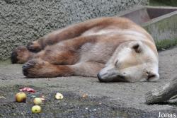 Zoo Osnabrück