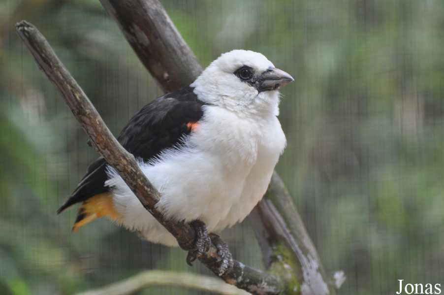 Zoo Osnabrück