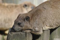 Zoo Osnabrück