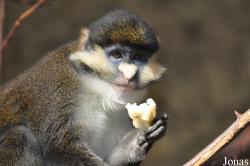 Zoo Osnabrück