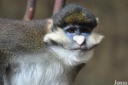Zoo Osnabrück