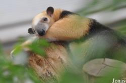 Zoo Duisburg
