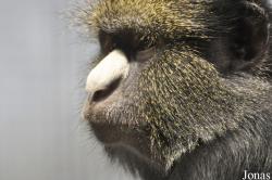 Zoo Duisburg