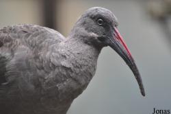 Zoo Duisburg