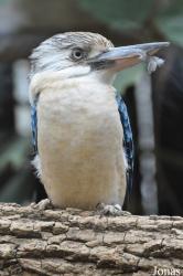 Zoo Duisburg