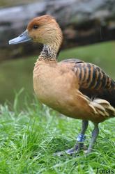 GaiaPark Kerkrade Zoo