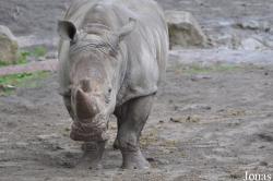 GaiaPark Kerkrade Zoo
