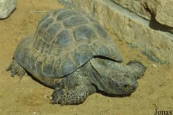 Aquarium des Zooparks Erfurt