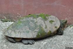 Zoo Negeri Johor