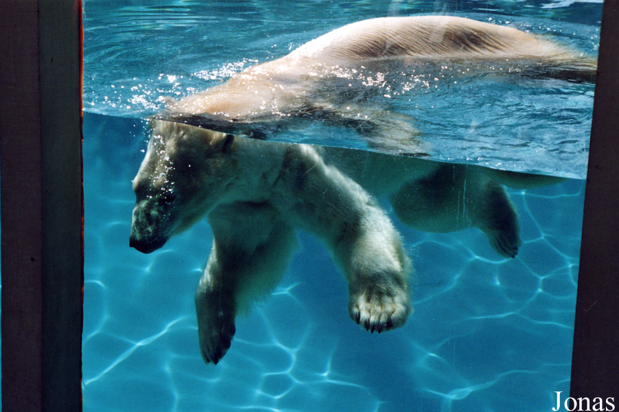 Zoo d'Amnéville