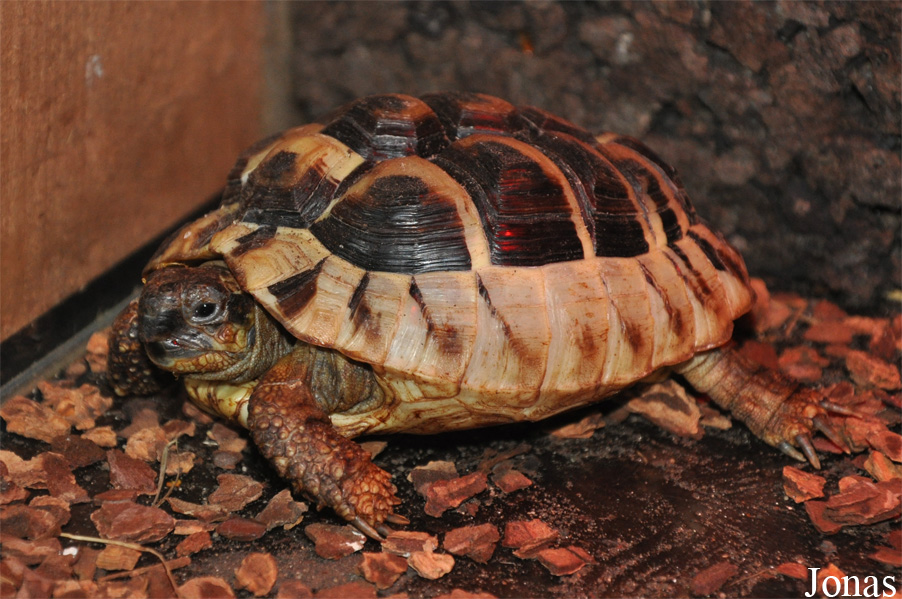 NatuurDoeZoo Insektenwereld