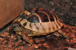 NatuurDoeZoo Insektenwereld