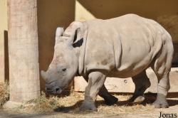 Allwetterzoo Münster