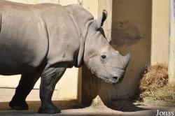 Allwetterzoo Münster